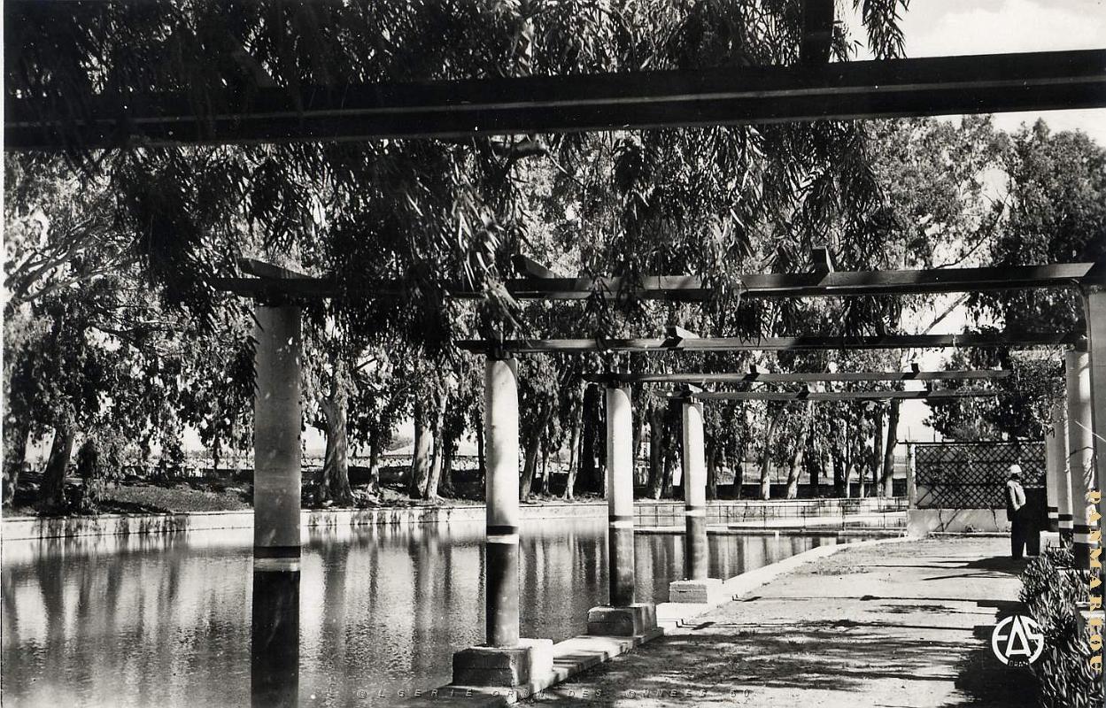 Palikao 500- Pergola COLLECTION DES AMIS DE ND DE SANTA CRUZ.jpg